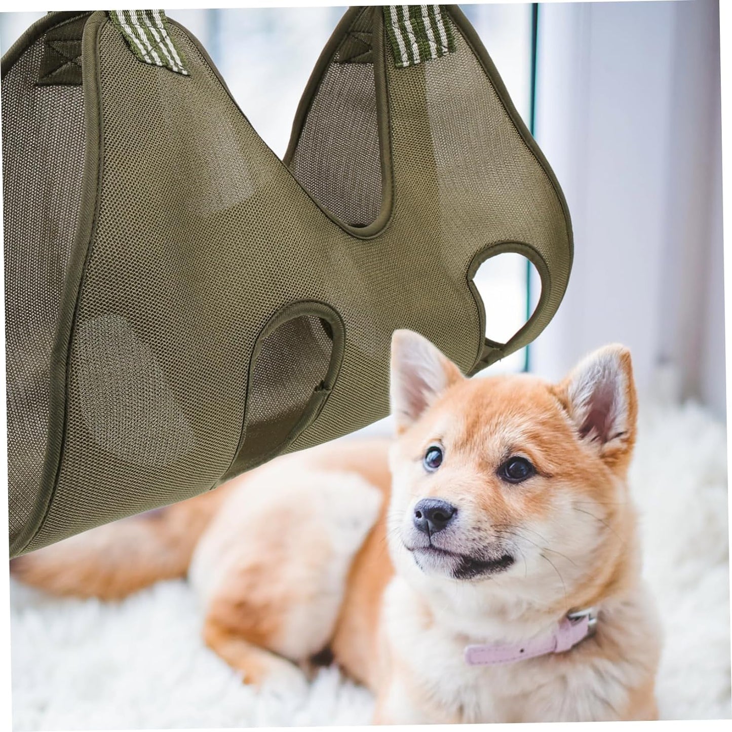 hamacs de toilettage d'animaux de compagnie