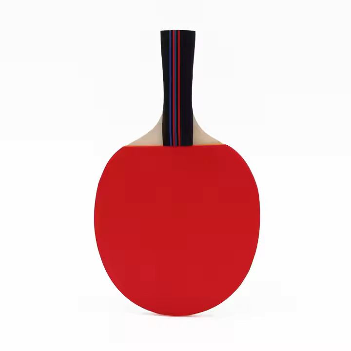 Raquette de tennis de table en bois professionnelle